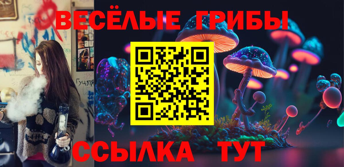 Галлюциногенные грибы Cubensis Краснокамск